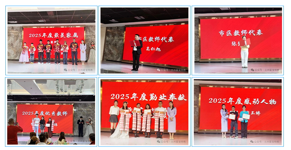 党建引领聚星力 星宝同心谱新篇